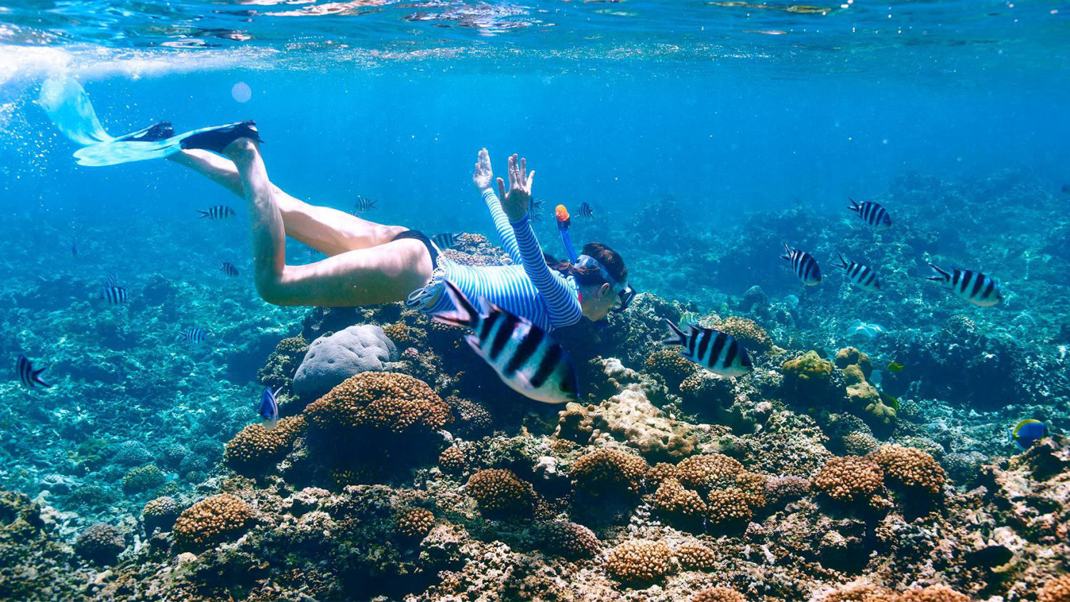 Imagen_Snorkeling Cayo Santa María Beach